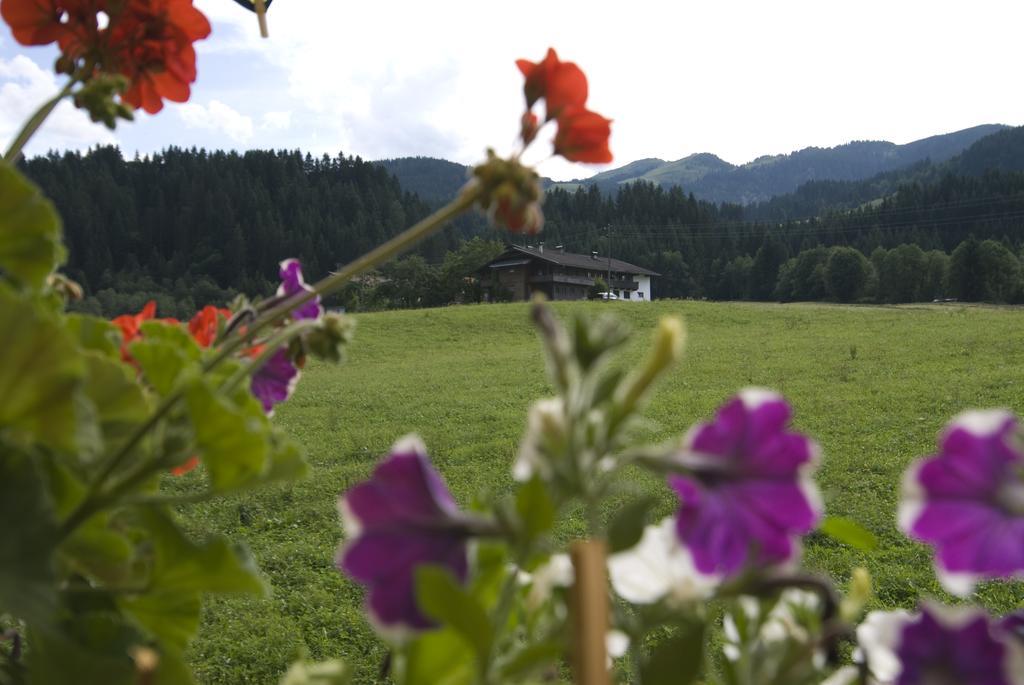 Haus Schatzbergblick Oberau Exterior foto